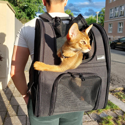 Stress-Free Travel Bag for Your Cat — Wherever You Go