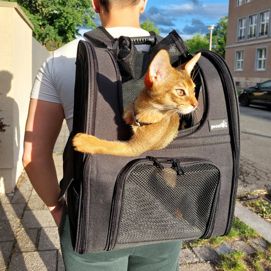 Stress-Free Travel Bag for Your Cat — Wherever You Go