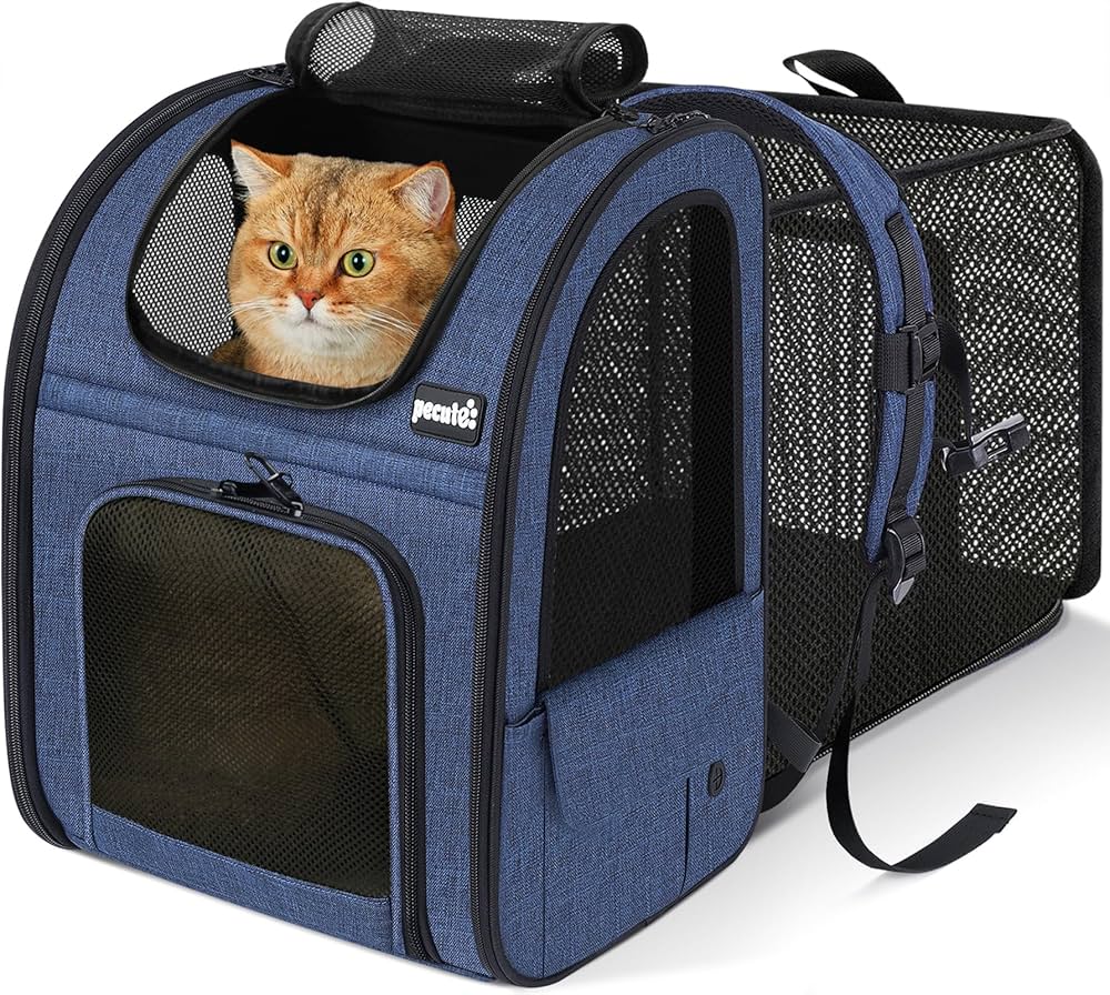 Stress-Free Travel Bag for Your Cat — Wherever You Go