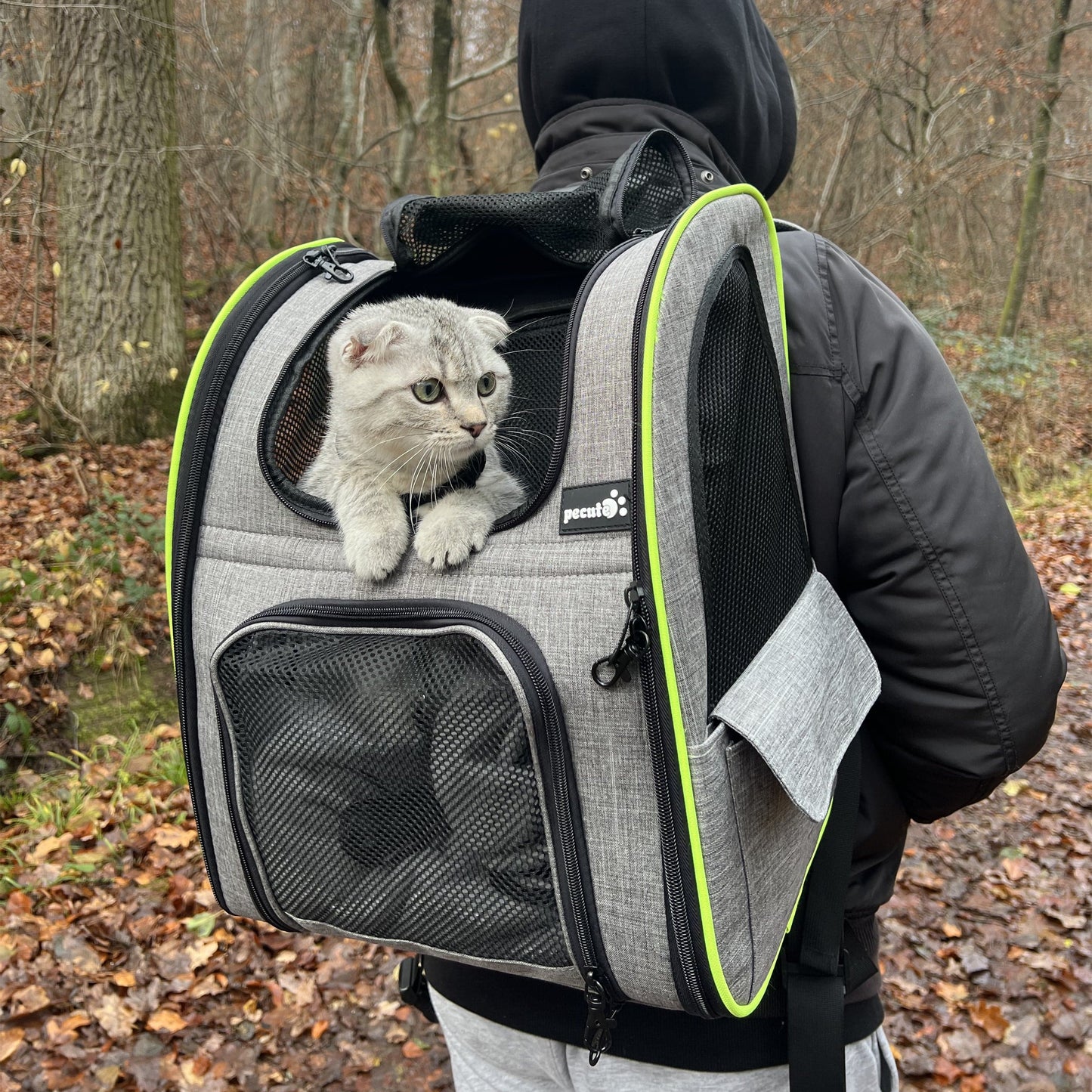 Stress-Free Travel Bag for Your Cat — Wherever You Go