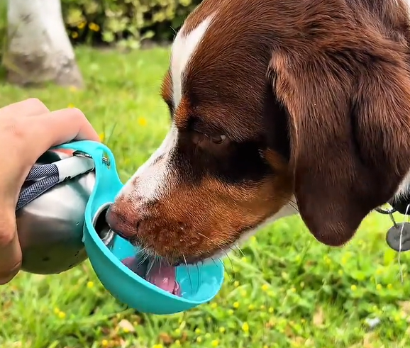 NEXTIK™ Portable Pet Hydration Bottle