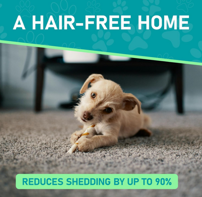 Nextik™ Pet Hair Groomer | Reduce Shedding & Remove Loose Fur